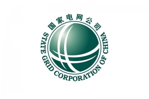 广东国 家电网